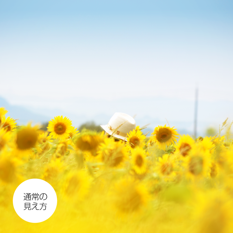 通常の見え方